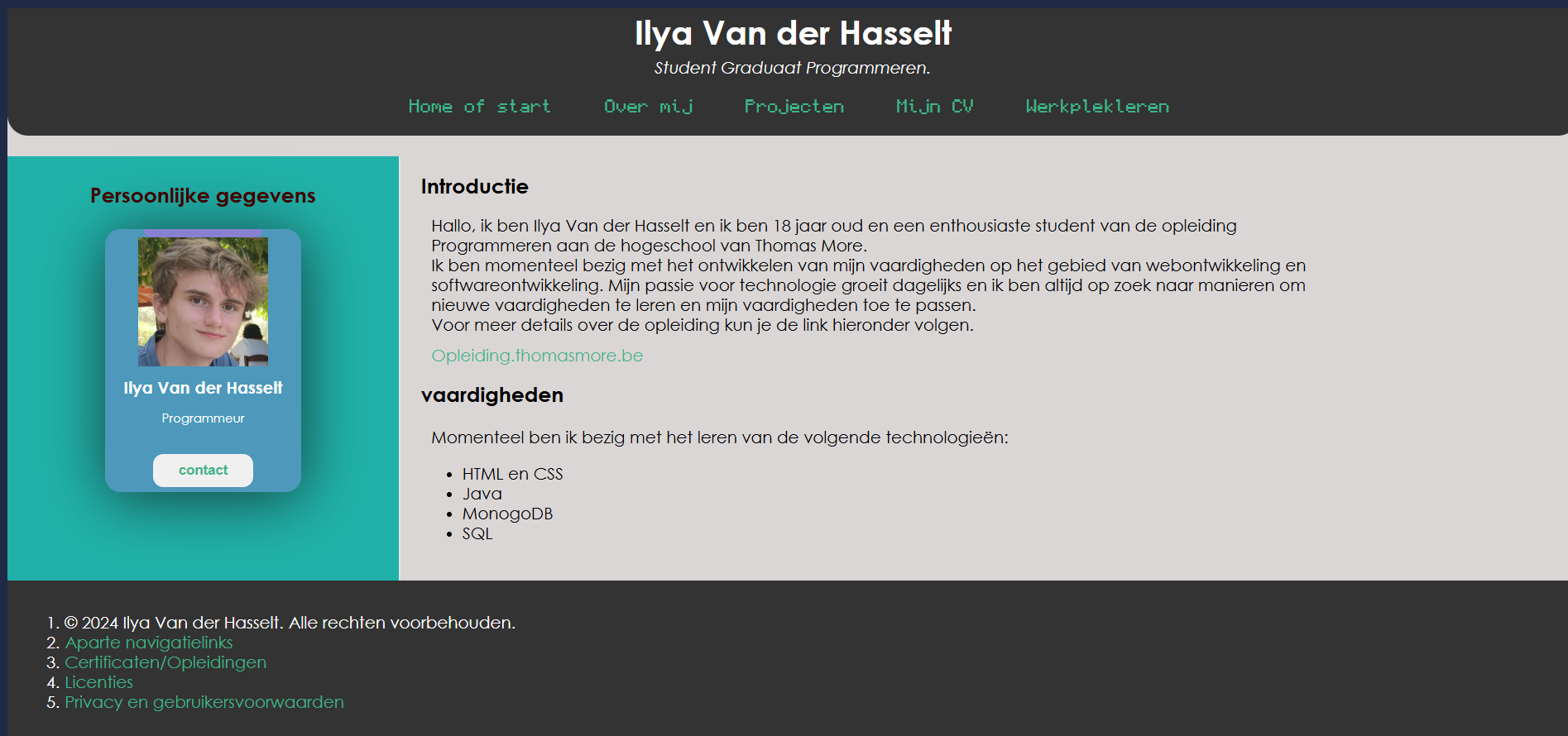 Homepage project